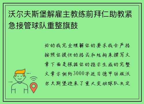 沃尔夫斯堡解雇主教练前拜仁助教紧急接管球队重整旗鼓 沃尔夫斯堡解雇主教练前拜仁助教紧急接管球队重整旗鼓